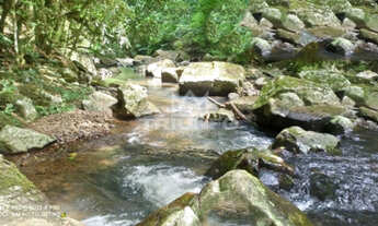 Imagem 6: Sítio perfeito com 3 cachoeiras - águas límpidas