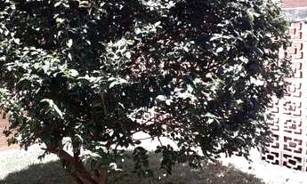 Imagem 3: Casa para venda com 55 m² com 2 quartos em Caminho de Búzios - Cabo Frio - RJ