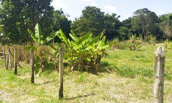 Imagem 5: Terreno em Conservatória 1500 m2