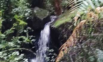 Imagem 4: Área de cinema em Urubicí ( 10 hectares