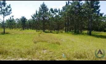 Imagem 7: AREA FRENTE BR 116. 70 MIL MTRS