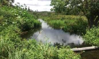 Imagem 7: Lote/Terreno para venda tem 3150 m2 em Corrego do Retiro - Aracati - Ceará