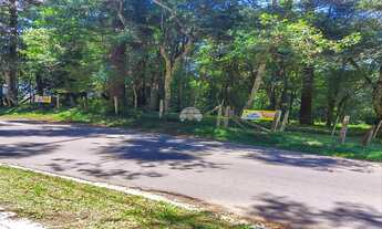 Imagem 2: Vendas Terreno São José Dos Pinhais PR