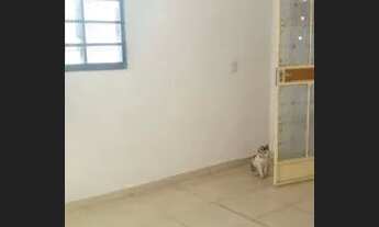 Imagem 7: Casa aluguel (Próximo São Luiz, Petrolândia, tropical