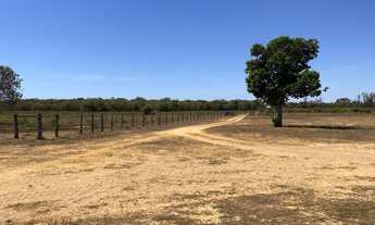 Imagem: FAZENDA DE 10 MIL HECTARES EM NOVO SANTO