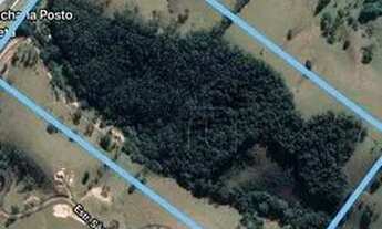 Imagem 2: SITIO CAMBUI MINAS GERAIS