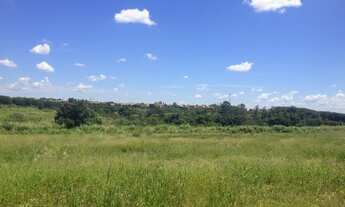 Imagem 4: Vende-se chácara 2,5 alqueires, 300 mts da cidade Dracena/Sp