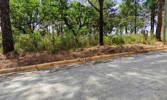 Imagem 7: Lote financiado Mateus Leme