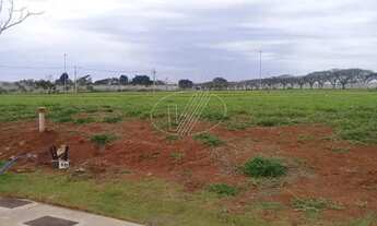 Imagem 3: Terreno - Duas Marias - Monte Alegre do Sul