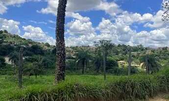 Imagem 6: Lote no bairro PTB