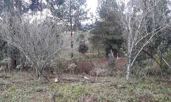 Imagem 4: Vendo 4 litros de terreno em agudos do sul