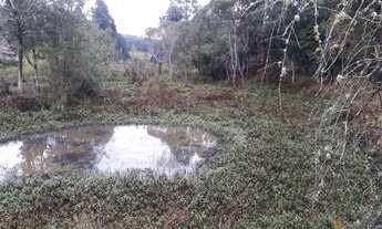 Imagem 2: Vendo 4 litros de terreno em agudos do sul