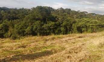 Imagem 5: Lote/Terreno para venda possui 1000 metros quadrados em Santa Inês - Mairiporã - SP