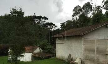 Imagem 6: SITIO CAMBUI MINAS GERAIS