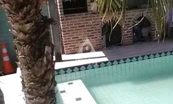 Imagem 6: Casa duplex 3 qts Curicica/Camorim atrás do Supermercado Costa Azul e do lado do Projac