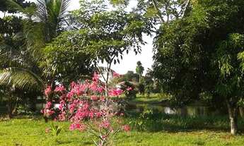 Imagem 6: 1 Lote à Venda no Condomínio Amazon Garden, Levilândia, Ananindeua, Pará