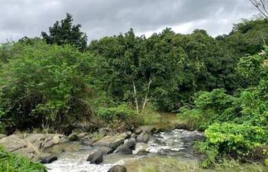 Imagem 6: Belíssima propriedade as margens da BR 101 SUL