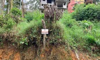 Imagem 4: Lote/Terreno para venda tem 376 metros quadrados em Cônego - Nova Friburgo - RJ