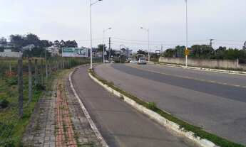 Imagem 3: Terreno para venda tem 4432 metros quadrados em Pagani - Palhoça - SC