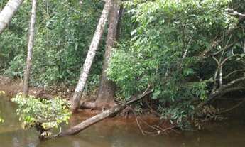 Imagem 4: Chácara 30 km Araguacema