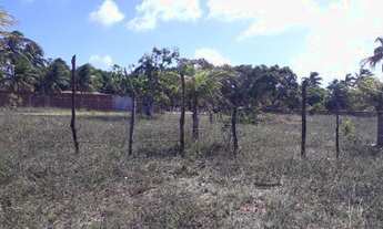 Imagem 7: Vendo granja no pq industrial de macaiba