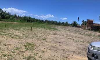 Imagem 3: Terrenos medindo 7x20=140 m2 em São Miguel dos Milagres!! loteamento regularizado!!