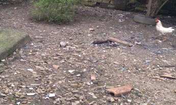 Imagem 7: Vende-se casa na Tv dos Andradas Icoaraci