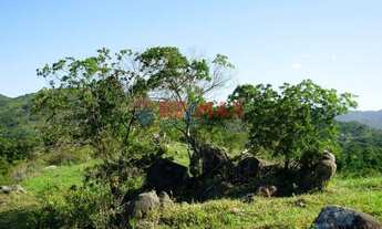 Imagem 6: FLORIANóPOLIS - Sítio - Vargem Pequena