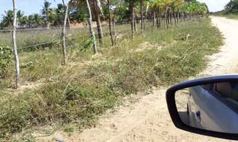 Imagem 4: Vendo granja no pq industrial de macaiba