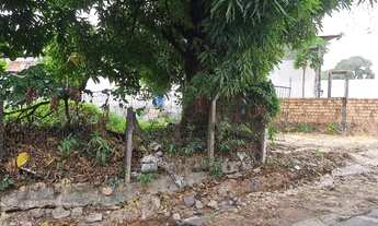 Imagem 5: Grande Terreno de 1.000m2 no São Francisco