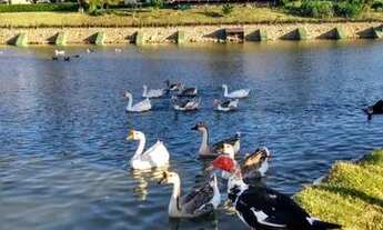 Imagem 6: Julho Férias Escolar Winterville Gravatá Vem Aproveitar Pcts Promocionais Diversos