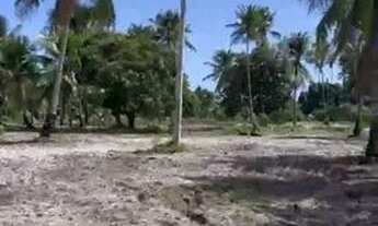 Imagem 4: Área em Porto de Pedras - AL