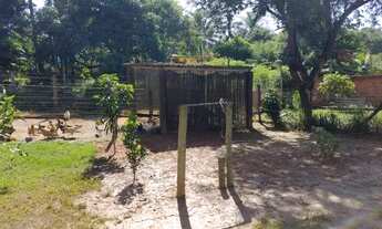 Imagem 6: Vendo linda chácara