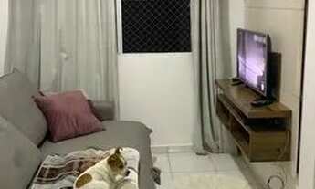 Imagem 4: Apartamento Condomínio Campobello