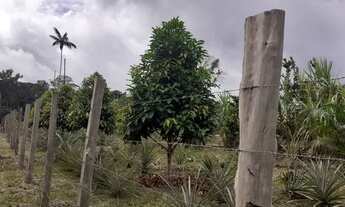 Imagem 2: Sítio em Presidente Figueiredo