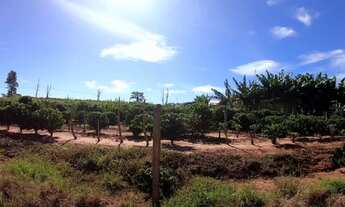 Imagem 2: Chacaras de 2000 a 3000 metros !!