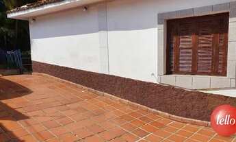 Imagem: São Paulo - Terreno Padrão - Tatuapé