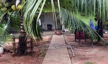 Imagem 5: Casa no janga, sítio