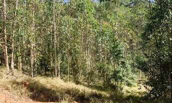 Imagem 2: Vende-se terreno de 1.000m² para chacara a 4km do centro do boa vista em igarata