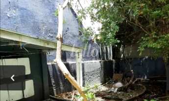 Imagem 7: São Paulo - Casa Padrão - São Lucas