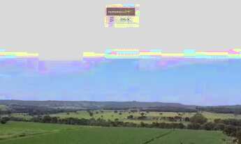 Imagem 3: Fazenda de Oportunidade em Bela Vista ! 22 Alqueires !