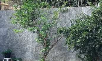 Imagem 7: Aluga-se Casa Residencial