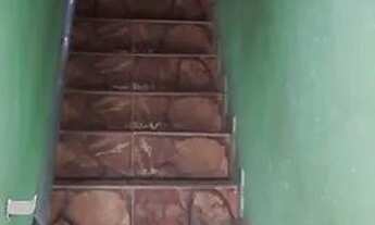 Imagem 2: Vendo uma casa Casa em condomínio com 2 dormitórios