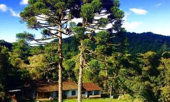 Imagem 6: Sitio em Tijucas do sul