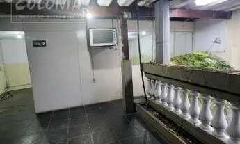 Imagem 4: Santo André - Loja/Salão - Utinga