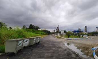 Imagem 5: Terreno frente Airton Senna 100 mil m2