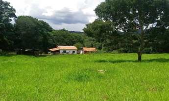 Imagem 6: Chácara em Iporá-GO ! 2.9 Alqueires ! Mega Oferta de Mercado