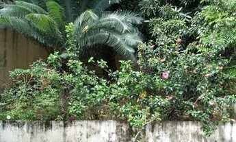 Imagem 2: Casa em cariacica