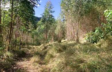 Imagem 4: Vende-se terreno barato em Igarata