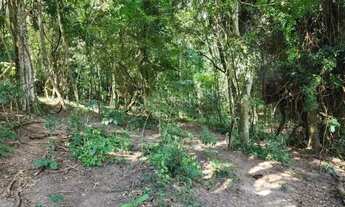 Imagem 3: Sitio 26.8 Alqueires região de Monte Santo - Mau